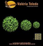 Códigos dos produtos: 4922, 5885, 5886